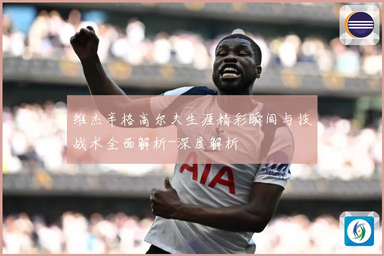 维杰辛格高尔夫生涯精彩瞬间与技战术全面解析-深度解析